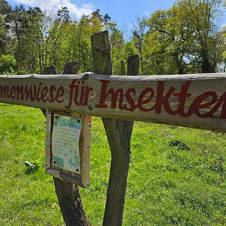 3 Am Rodelberg * Priborn